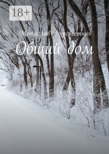 Общий дом, Мстислав Буревестник