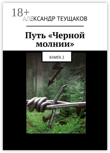 Путь «Черной молнии». Книга 2, Александр Теущаков