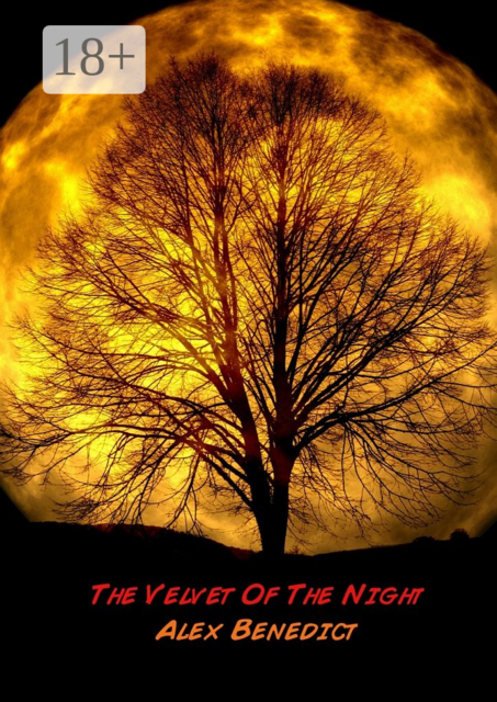 The Velvet Of The Night