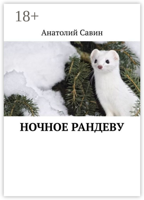 Ночное рандеву
