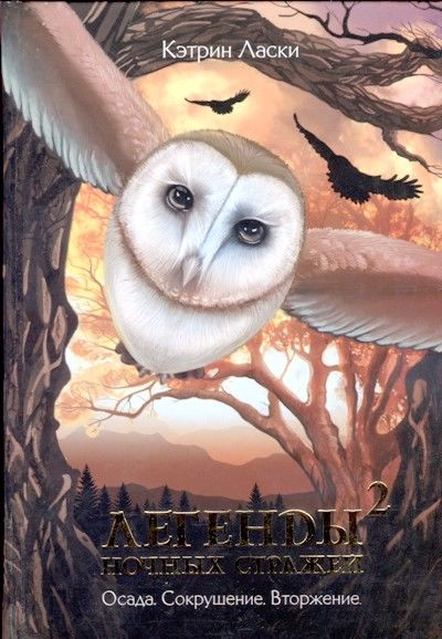 Ночные стражи. Книга 6. Вторжение