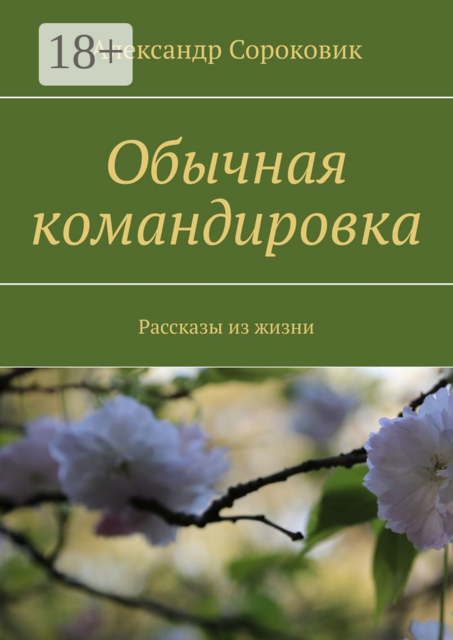 Обычная командировка