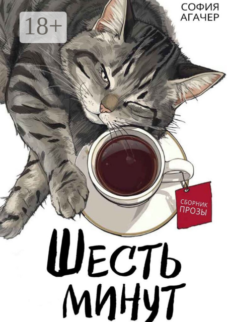 Шесть минут. Сборник прозы