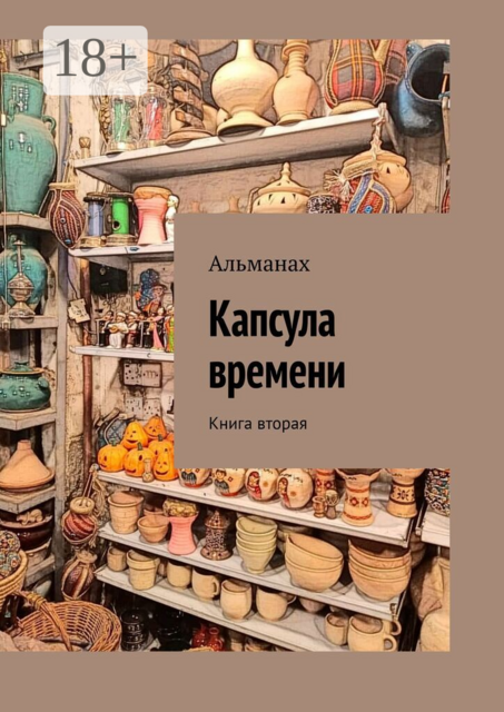 Капсула времени. Книга вторая