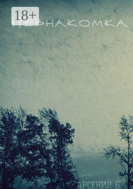 Незнакомка