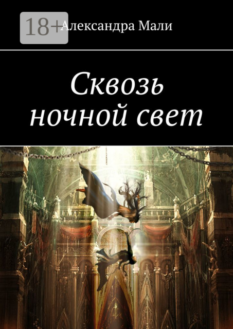 Сквозь ночной свет