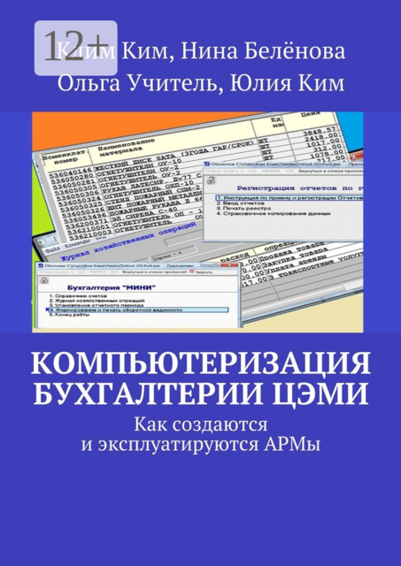 Компьютеризация бухгалтерии ЦЭМИ — теория и практика. Как создаются и эксплуатируются АРМы