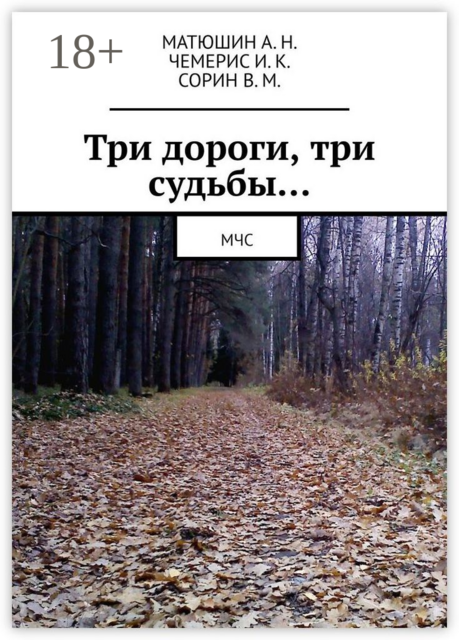 Три дороги, три судьбы…. МЧС, Владимир Сорин, Чемерис Ирина, Матюшин Александр