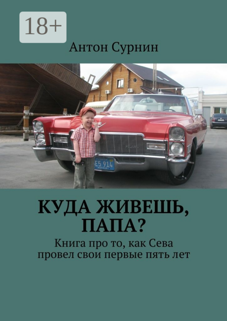 Куда живешь, папа?. Книга про то, как Сева провел свои первые пять лет