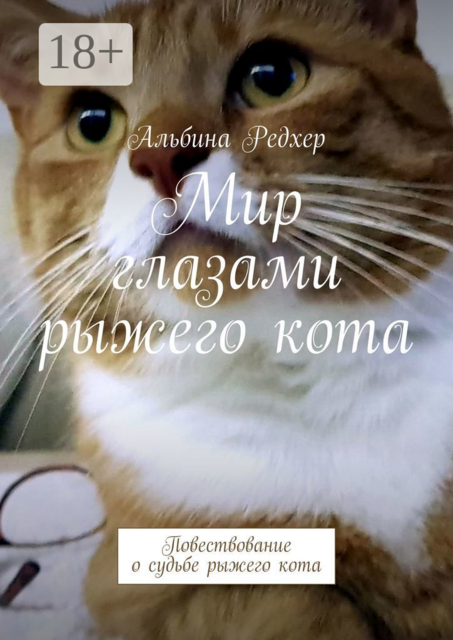 Мир глазами рыжего кота. Повествование о судьбе рыжего кота