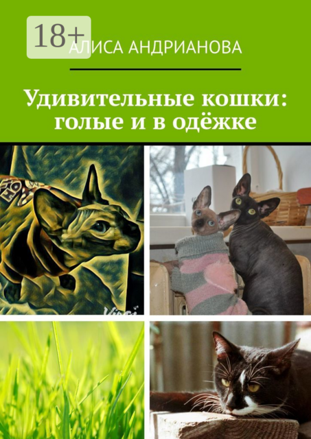 Удивительные кошки: голые и в одёжке. Сказка для взрослых детей