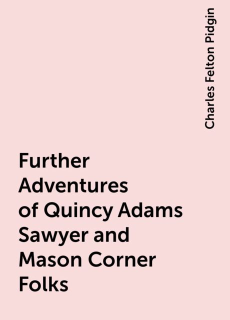 An Engagement of Convenience / A Novel