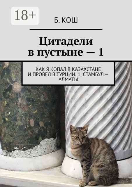 Цитадели в пустыне — 1. Как я копал в Казахстане и провел в Турции. 1. Стамбул — Алматы, Б. Кош