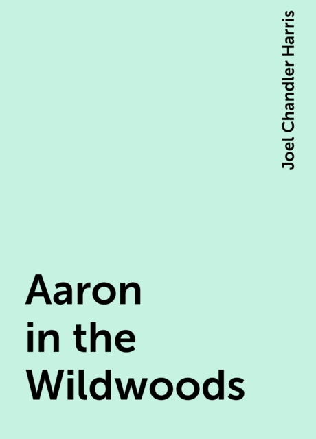 Aaron in the Wildwoods