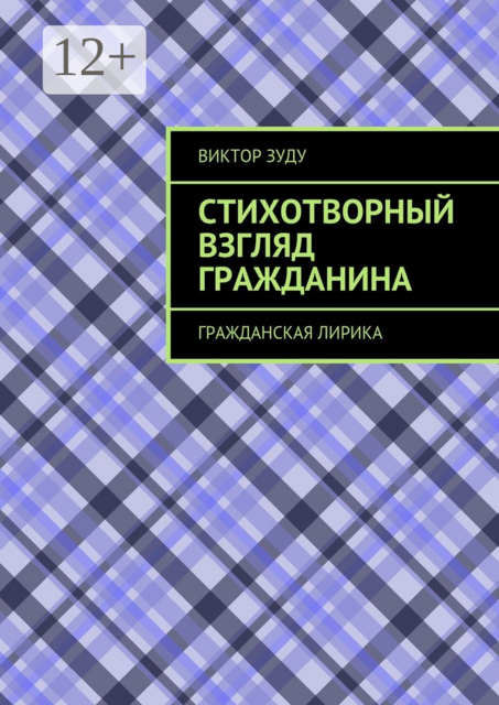 Стихотворный взгляд гражданина. Гражданская лирика