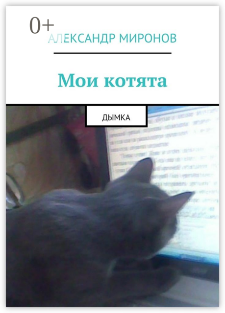 Мои котята. Дымка