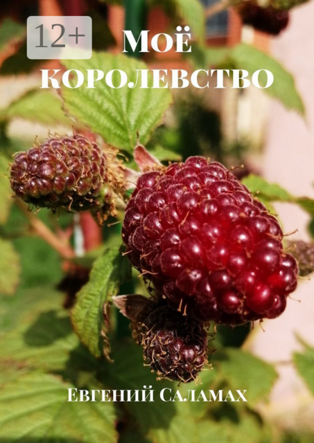 Моё королевство, Евгений Саламах