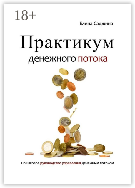 Практикум денежного потока. Пошаговое руководство управления денежным потоком, Елена Саджина