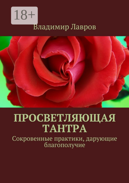Просветляющая тантра. Сокровенные практики, дарующие благополучие, Владимир Лавров