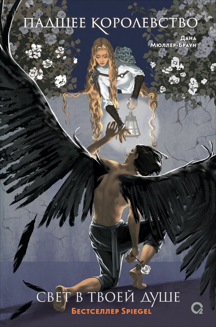 Падшее королевство. 2. Свет в твоей душе, Дана Мюллер-Браун