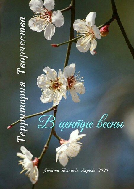 В центре весны. Девять Жизней. Апрель. 2020, Валентина Спирина, MH Rhee