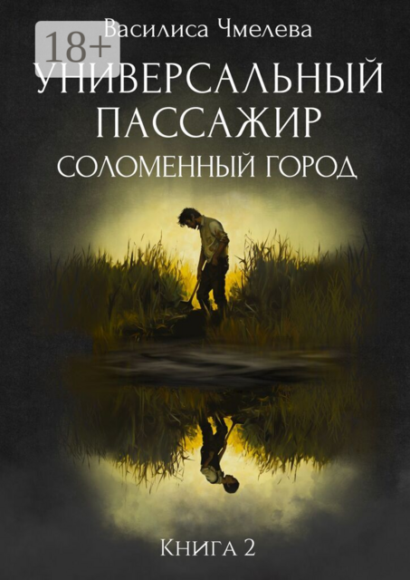 Универсальный пассажир. Книга 2. Соломенный город