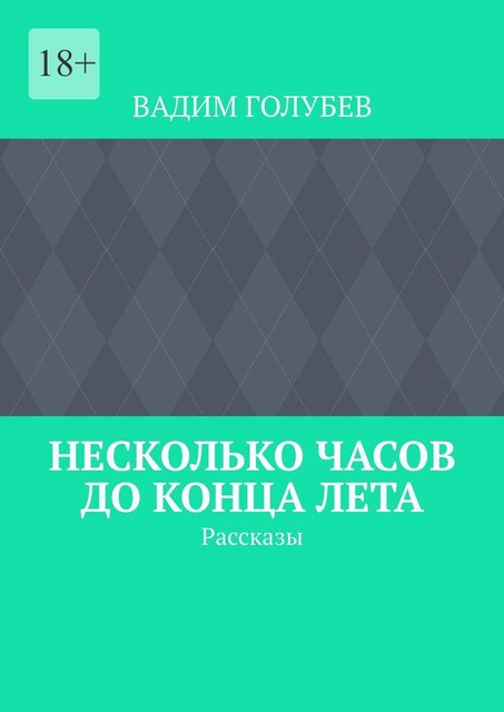 Несколько часов до конца лета, ВАДИМ ГОЛУБЕВ