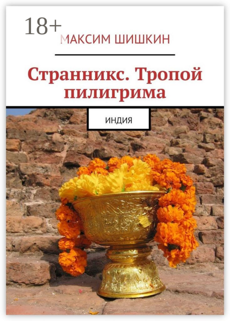 Странникс. Тропой пилигрима. Индия, Максим Шишкин
