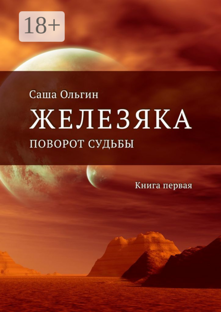 Железяка. Поворот судьбы. Книга первая, Саша Ольгин