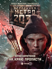 Метро 2033: Эра безумия