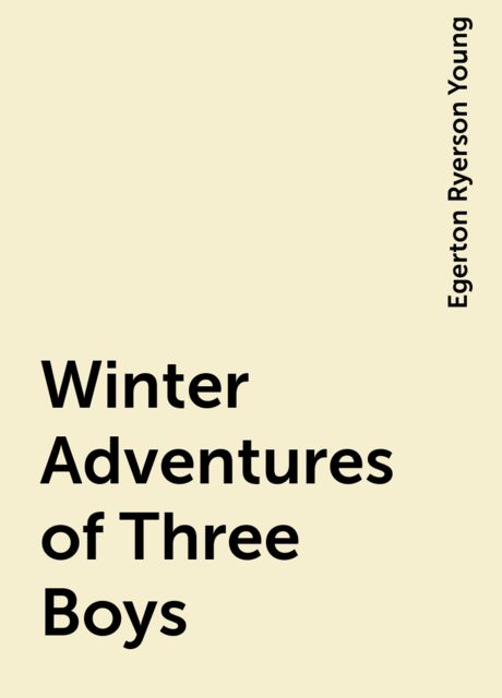 Winter Adventures of Three Boys