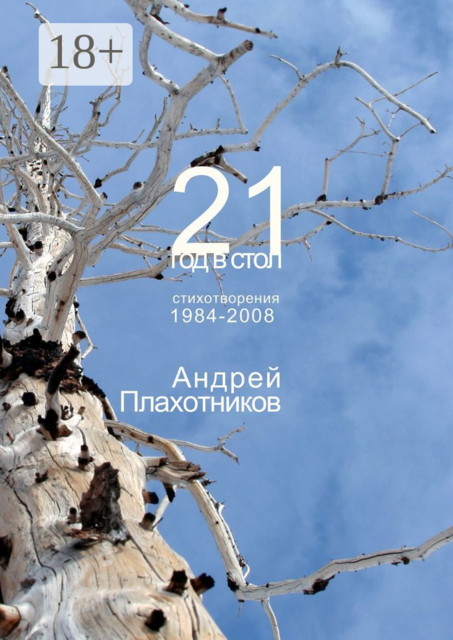 21 год в стол, Андрей Плахотников