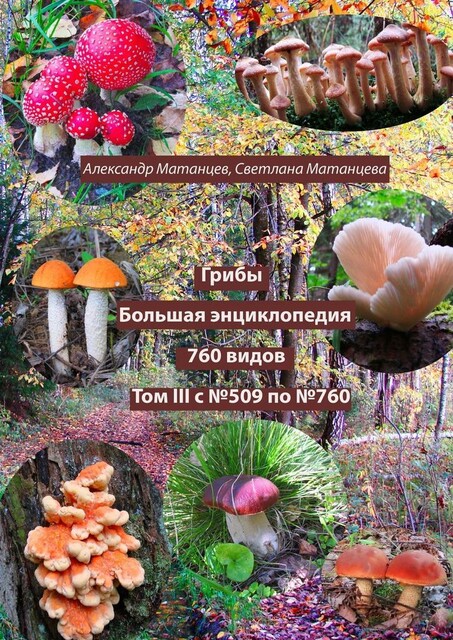 Грибы. Большая энциклопедия. 760 видов. Том III. С №509 по №760, Александр Матанцев, Светлана Матанцева