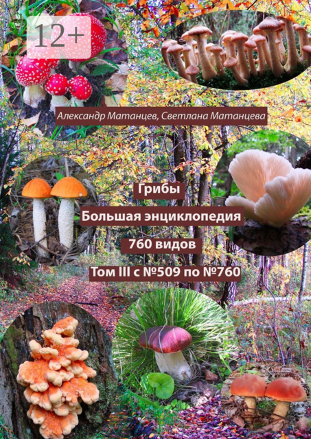 Грибы. Большая энциклопедия. 760 видов. Том III. С №509 по №760, Александр Матанцев, Светлана Матанцева