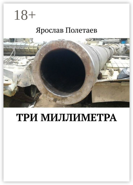 Три миллиметра, Ярослав Полетаев