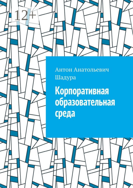 Корпоративная образовательная среда, Антон Шадура