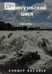 Венесуэльский цикл