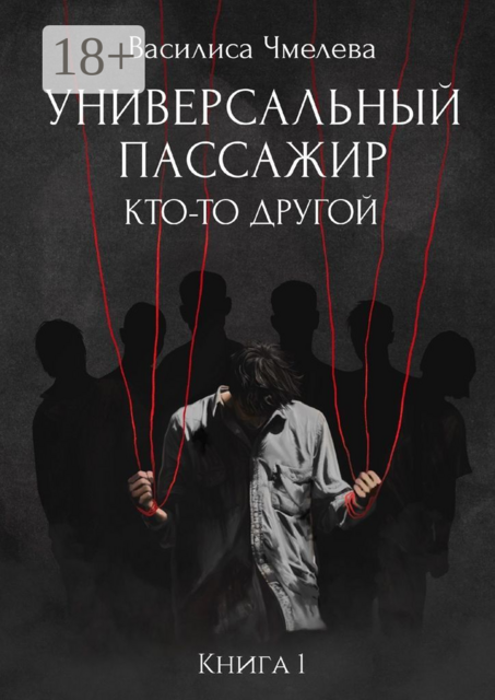 Универсальный пассажир. Книга 1. Кто-то другой, Василиса Чмелева