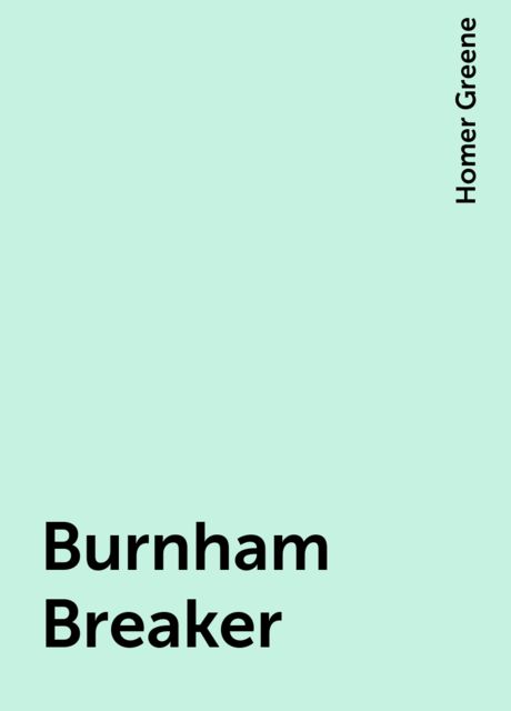 Burnham Breaker