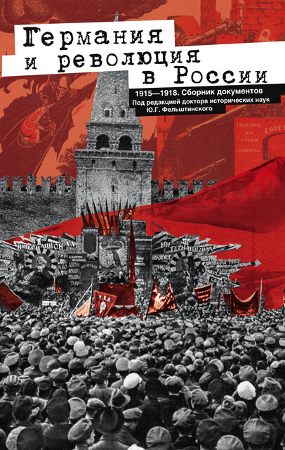 Германия и революция в России. 1915–1918, Юрий Фельштинский
