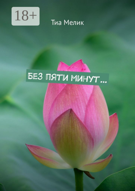 Без пяти минут