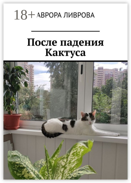 После падения Кактуса
