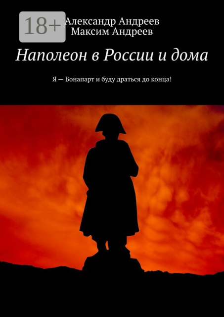 Наполеон в России и дома, Александр Андреев, Максим Андреев