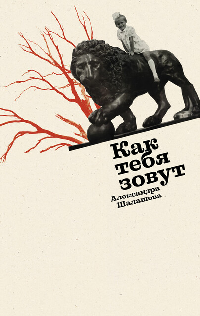 Как тебя зовут, Александра Шалашова