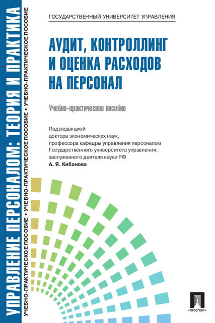Управление персоналом: теория и практика. Аудит, контроллинг и оценка расходов на персонал