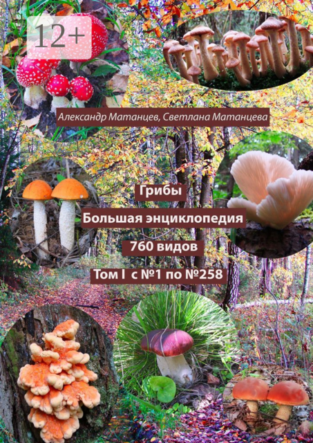 Грибы. Большая энциклопедия. 760 видов. Том I. С №1 по №258, Александр Матанцев, Светлана Матанцева