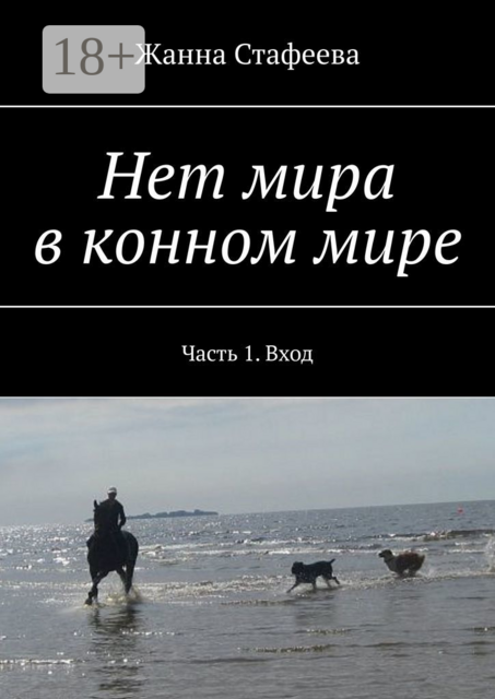Нет мира в конном мире. Часть 1. Вход