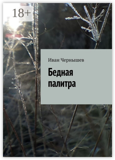 Бедная палитра, Иван Чернышев