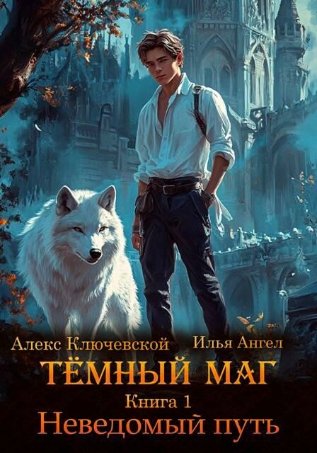 Темный маг. Книга 1. Неведомый путь