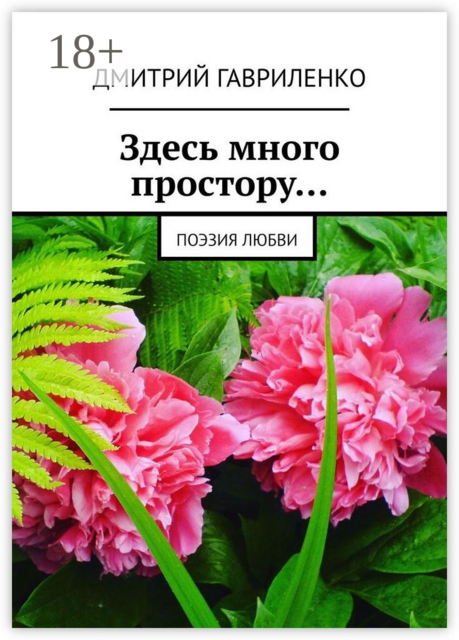 Здесь много простору…. Поэзия любви